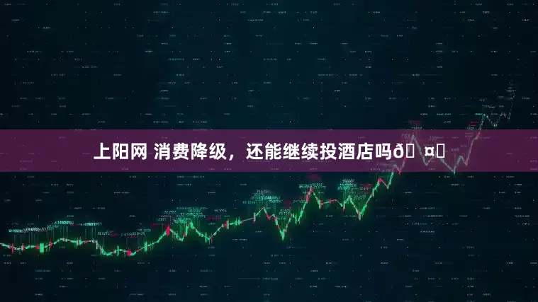 上阳网 消费降级，还能继续投酒店吗🤔