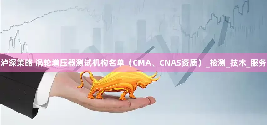 泸深策略 涡轮增压器测试机构名单（CMA、CNAS资质）_检测_技术_服务