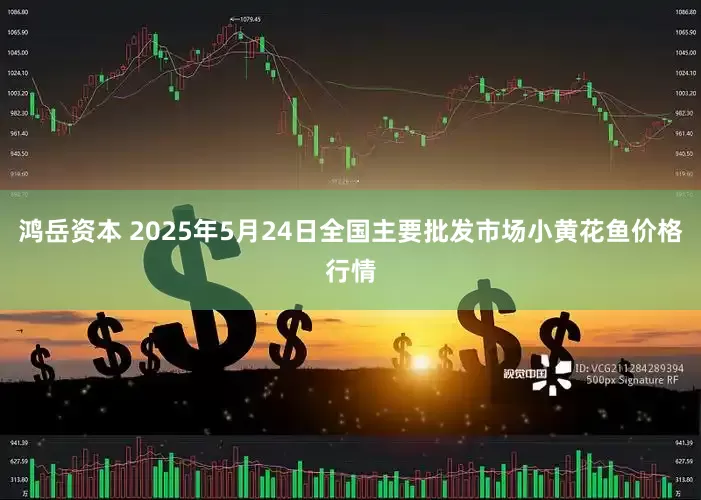 鸿岳资本 2025年5月24日全国主要批发市场小黄花鱼价格行情