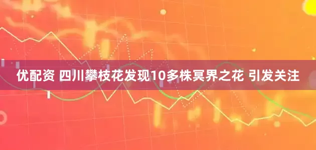 优配资 四川攀枝花发现10多株冥界之花 引发关注