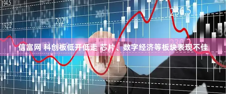 信富网 科创板低开低走 芯片、数字经济等板块表现不佳