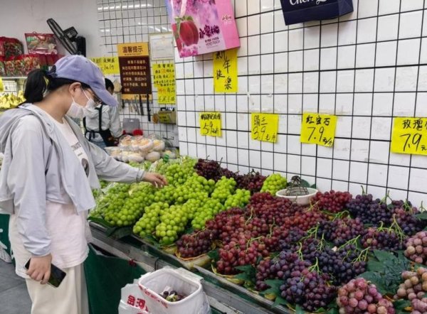 七星配资  阳光玫瑰因何跌成“地板价”？