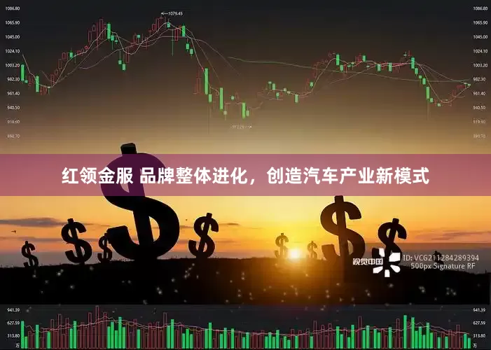 红领金服 品牌整体进化，创造汽车产业新模式